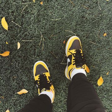 Nike Dunk Low Varsity Maize worn by little_laces on the account Instagram of @little_laces 