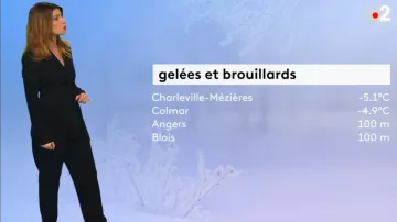 The combination of tailor collar to lock Black Chloe Nabédian in Weather of France 2 on the 31.12.2019