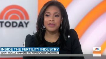 Shoshanna Em­bell­ished Flare Dress worn by Sheinelle Jones on Today January 1, 2020