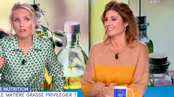 Le pull à larges rayures jaune marron blanc de Caroline Ithurbide dans William à midi le 10.01.2020