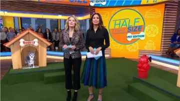 Ronny Kobo Blue and Green Striped Skirt worn by Cecilia Vega on Good Morning America January 10, 2020