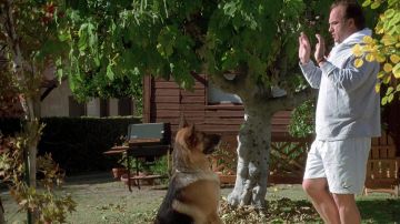 Nike short porté par Det. Mike Dooley (Jim Belushi) comme on le voit dans K-911