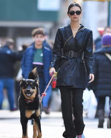 Ray Ban Original Wayfarer Lunettes de soleil Polarisées porté par Emily Ratajkowski Avec Son Chien 19 janvier 2020