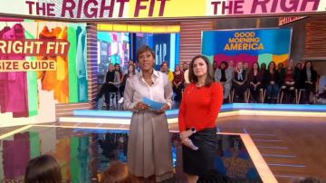 Altuzarra Minamoto Suéter de lana Merino Embellecido usado por Paula Faris en Good Morning America enero 22, 2020