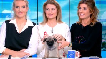 Le pull laine et cachemire BLACK JACK blanc de Sandrine Arcizet dans William à midi le 24.01.2020