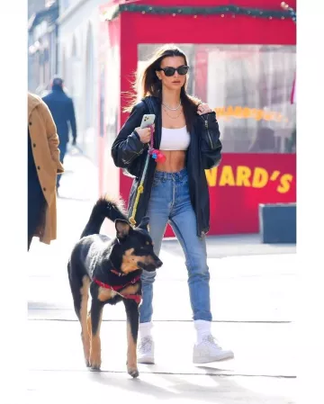 Ray-Ban Wayfarer Lunettes de soleil portées par Emily Ratajkowski promener Son Chien le 24 janvier 2020
