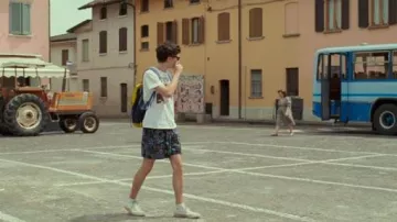 Printed Swim Shorts worn by Elio Perlman (Timothée Chalamet)  in Call Me by Your Name