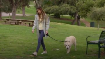 Rains Wa­ter­proof Short Jack­et worn by Jordy in Criminal Minds Season 15 Episode 5