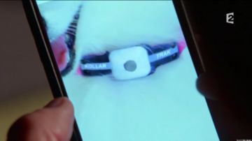 the collar plotter for dog in Castle