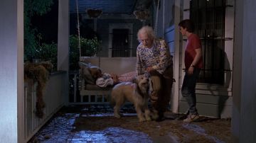 Shoes Nike Bruin Marty McFly (Michael J. Fox) in Back to the future II