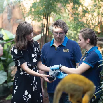 The dress flower of Ophelia Miller on the account Instagram of @opheliemeunier