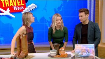 Teoría Calvino Tweed Leather Mini Sheath Dress usado por Samantha Brown en VIVO con Kelly y Ryan 17 de febrero de 2020