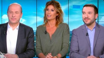 The sweater wide V-neck zipped cotton blend Khaki Caroline Ithurbide in William at noon the 26.02.2020