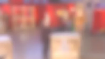 The leather leggings brown Sophie Davant in done Deal