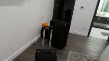 Black Luggage used by Tal Fishman in the YouTube video SURPRISING MY GIRLFRIEND With Her DREAM VACATION! ($10,000+)