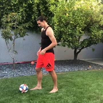 The adidas shorts red Zlatan Ibrahimović on the account Instagram of @iamzlatanibrahimovic