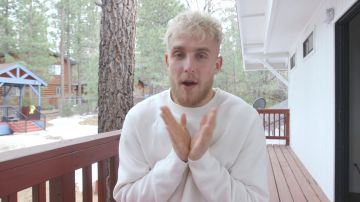 White Cricket Top Jumper Sweater worn by Jake Paul in Jake Paul Sparring Footage (LEAKED)