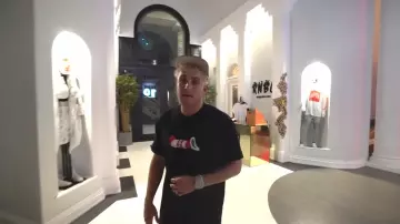 Suprême de Chat Dans Le Chapeau Tee porté par Jake Paul dans le divorce?