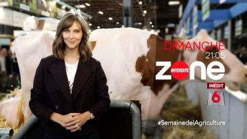 Camiseta My Valentine de Ophélie Meunier en Zone Interdite en la cuenta de Instagram de @opheliemeunier