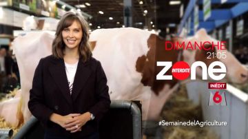 The t-shirt My Valentine of Ophélie Meunier in the forbidden Zone 01 03 2020