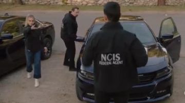 Recadrée Contraste Ourlet Jeans portés par Ellie Bishop (Emily Wickersham) dans NCIS Saison 17 Épisode 15