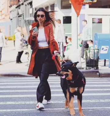 Trouvé Mon Animal arc-en-ciel Ombre de la Corde de Coton Laisse de Chien portés par Emily Ratajkowski promener Son Chien le 2 Mars 2020
