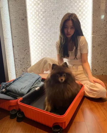 Collerette-garniture en haut de la page de Jennie Kim sur l'Instagram account @jennierubyjane