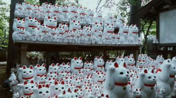 El templo al gato visitado por Joyca en su video ¡PIDE SU CAMINO A JAPÓN CON GOOGLE TRANSLATE!