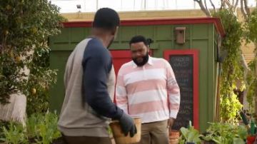 Rayé à Manches Longues Polo porté par Andre "Dre' Johnson (Anthony Anderson), en black-ish Saison 6 Épisode 19