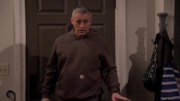 Carhartt Marron à capuche porté par Adam Burns (Matt LeBlanc) comme on le voit dans l'Homme un Plan (S04E03)