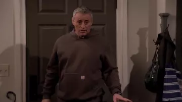 Carhartt Brown hoodie worn by Adam Burns (Matt LeBlanc) as seen in Man with a Plan (S04E03)