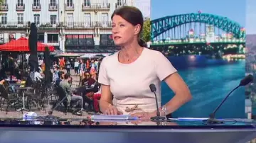 La robe ajustée à manches courtes de Carole Gaessler dans 19/20 le 14.04.2020