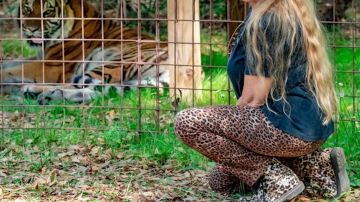 Botas de cordones con estampado de leopardo usadas por Big Cat Rescue (Carole Baskin) en Tiger King: Murder, Mayhem and Madness (S01E02)