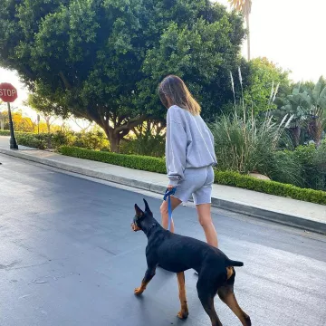 Sweatshirt light grey worn by Kendall Jenner on his account Instagram @kendalljenner