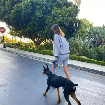 Le sweatshirt gris clair porté par Kendall Jenner sur son compte Instagram @kendalljenner
