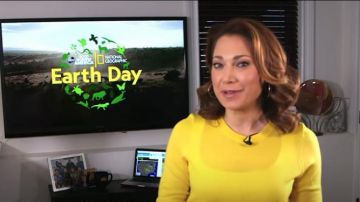 Suéter Gap Crewneck en lana Merino usado por Ginger Zee en Good Morning America 22 de abril de 2020