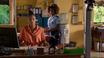 The pencil skirt navy blue worn by the Agent Ruby Patterson (Shyko Amos) in Murder in paradise (S09E07)