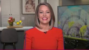 Galvan London Misti Blouse worn by Dylan Dreyer as seen on Today May 18, 2020