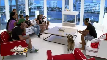 Sneakers Nike green and white Thomas Vergara in The Angels of reality tv 5