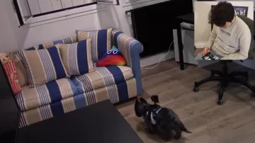 The cushion poo multi-coloured HugoPosay in the video WHAT DO THE ANIMALS WHEN THEY ARE ALONE AMONG US ? | HugoPOSAY