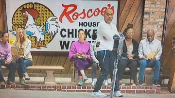 Zapatillas Nike Gray usadas por Kenya Barris (Kenya Barris) en #blackAF (S01E05)