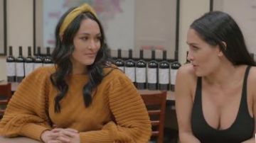 High Neck Knit Jumper worn by Brie Bella in Total Bellas Season 5 Episode 8