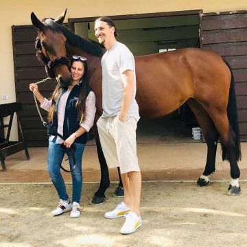 le t-shirt gris clair porté par Zlatan Ibrahimović sur son compte Instagram @iamzlatanibrahimovic