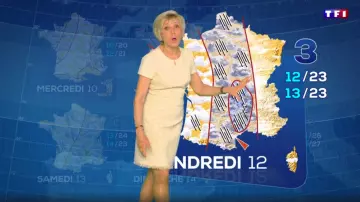 La robe à coupe évasée et design texturé de Évelyne Dhéliat dans Météo de TF1 le 08.06.2020