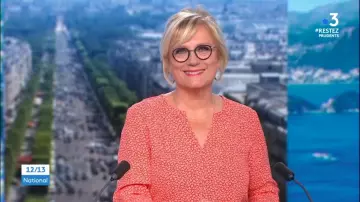 Las mejores mangas de cuello tunecino 3/4 amapola de Catherine Matausch en 12/13 Journal de France 3 el 13.06.2020