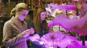 Le pendentif filtre d'amour de Hermione Granger (Emma Watson) dans Harry Potter et le Prince de sang-mêlé