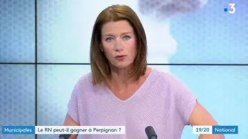 The sweater lilac mesh textured,V-neck collar, short sleeves, a touch of lurex for Carole Gaessler in the 19/20 on France 3