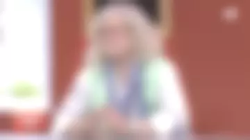 The plaid scarf worn by Pierre-Jean Chalençon in Case of agreement of July 6, 2020