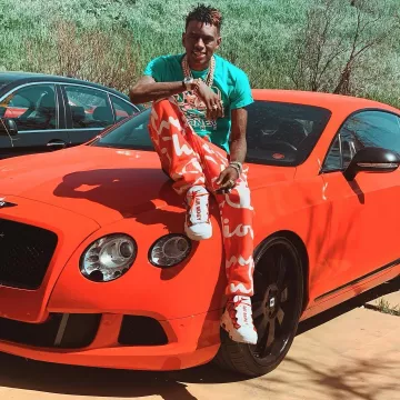 Soulja boy rocked these pants and I need to know what brand they are.please  help : r/findfashion