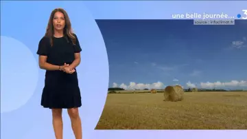 The short dress, black smocked ruffled Myriam Seurat Weather of France 3 the 11.07.2020